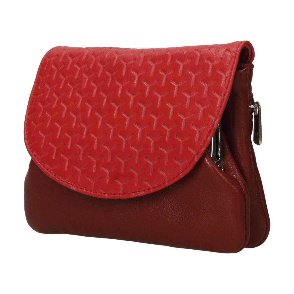 Luisipo Monedero de Piel Con Boquilla Lugupell