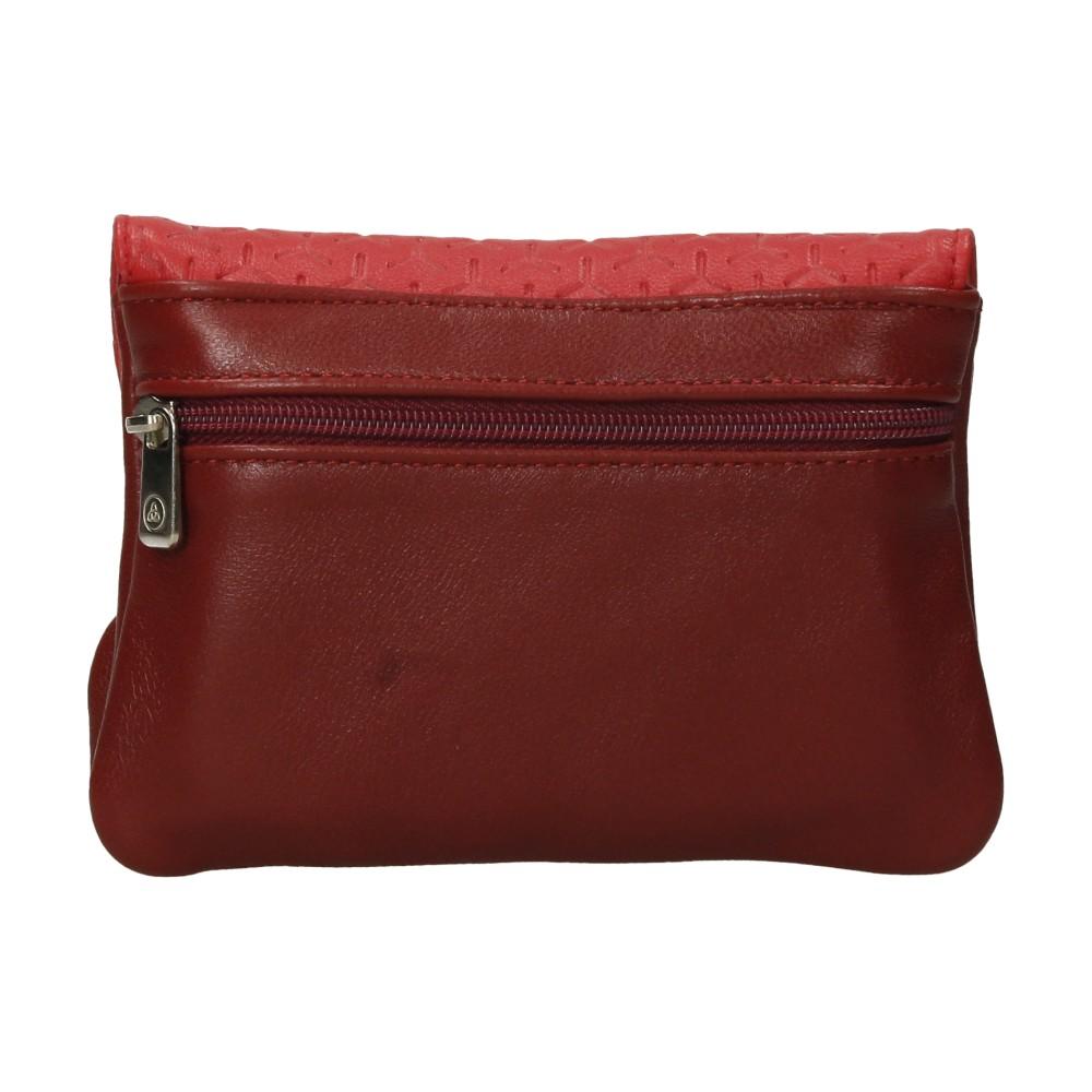 Luisipo Monedero de Piel Con Boquilla Lugupell